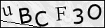 Human Confirmation Code (Captcha)