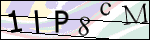 Human Confirmation Code (Captcha)